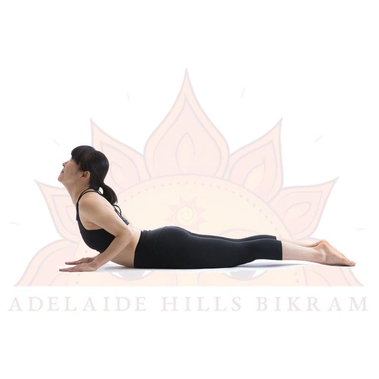 Cobra Pose Adelaide Hills Bikram